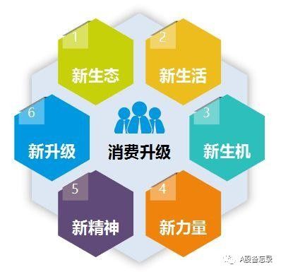 澳门六肖公式运用法视频最新破解版，揭秘与警示
