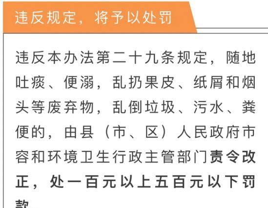 澳门六肖10码，揭秘其背后的级别与影响