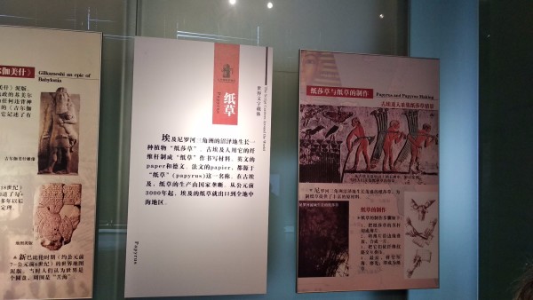 澳门六星彩历史开奖记录一百期汇总分析