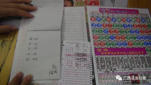 澳门六星天天彩揽珠结果，一场数字游戏的背后与现实生活的交织