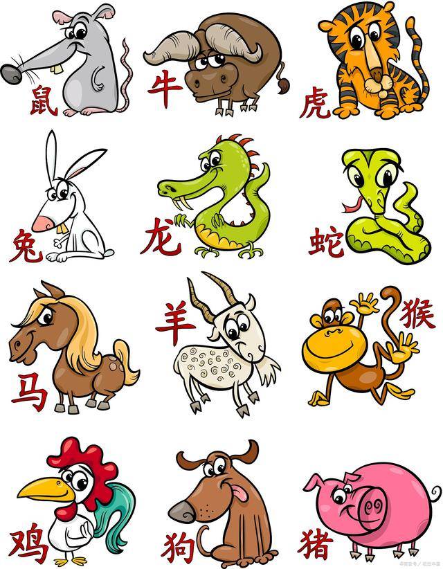 澳门六采资料与十二生肖的神秘寓意