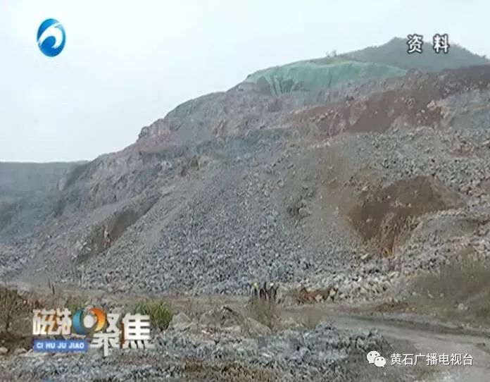 澳门六采资料免费资料，全面解析与合法警示